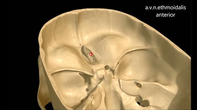 Жұлдызды соғыстардағы секс