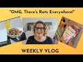 Weekly Vlog: OMG, There's Rats EVERYWHERE!