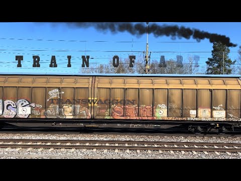 Train of Art - 4k HDR - Graffiti on freight train cars