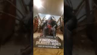 Baby Shark Big Show 5