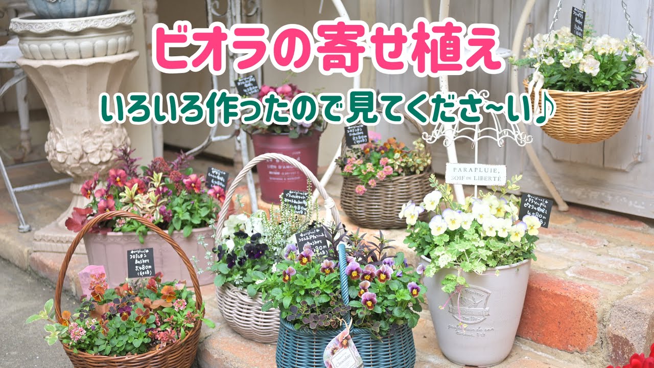 I made a viola flower arrangement, so please take a look! - YouTube