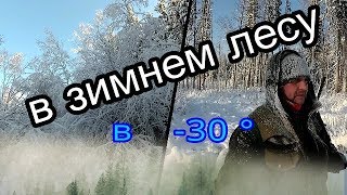 В зимнем лесу в  -30°.In the winter forest at -30°