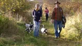 Scottish Basset Hound Walkers at Balkello Wood by Ally Crombie 1,764 views 11 years ago 10 minutes, 49 seconds