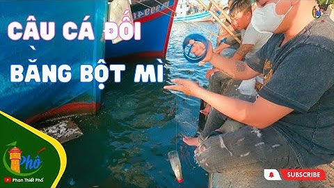 Học nghề câu cá đối chỉ dùng chai nhựa và  bột mì trên cảng cá Phú Hài --  ❤️ phan thiết phố 🏖