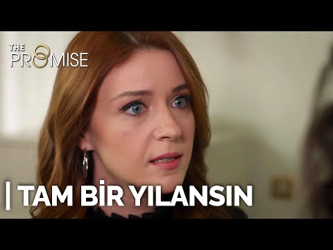 Tam bir yılansın!