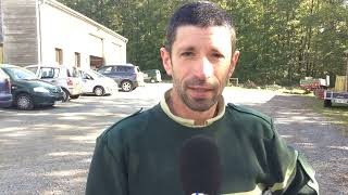 La Qualité Des Chênes En Forêt De Bercé Sarthe