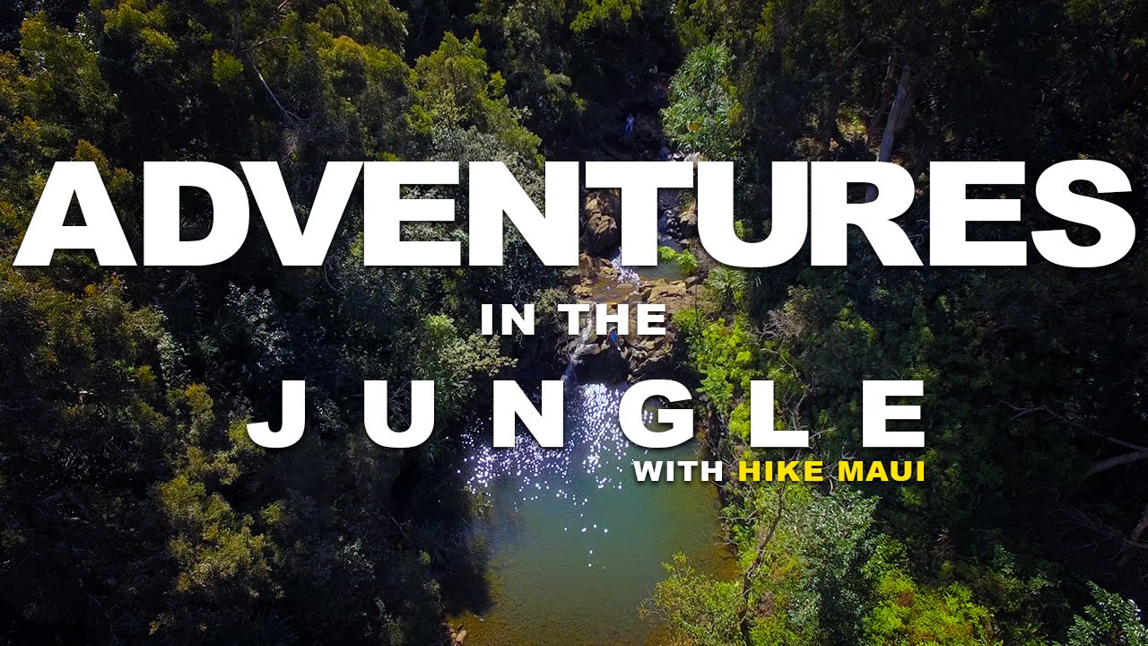 Adventures in the Jungle with Hike Maui