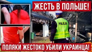 В Польше на ферме поляки совершили нехорошее с украинцем