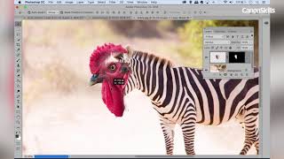 Create Animal Mashups in Photoshop CC