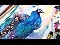 Loose Peacock Painting // Beginner Watercolor!