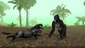 Wild Panther Sim 3D Android Gameplay HD #1