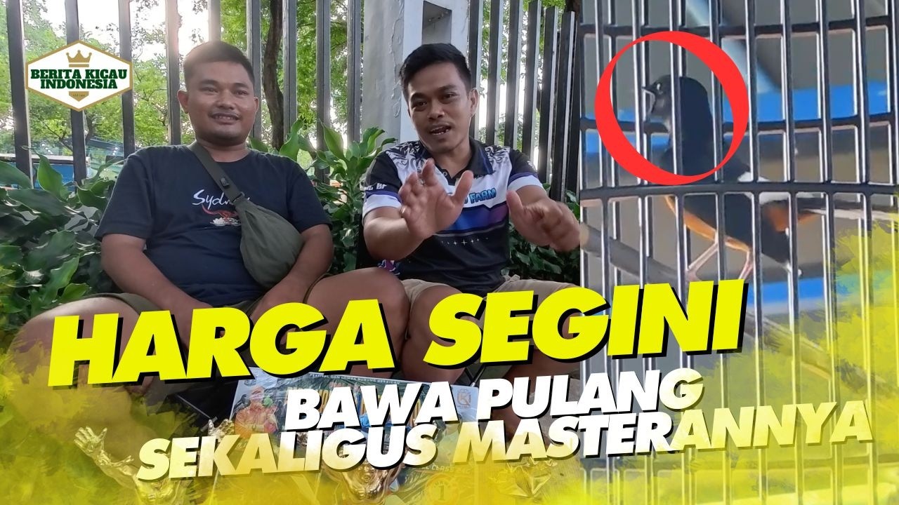 CUMA SEGINI BISA BAWA PULANG MB PHILIP‼️😱