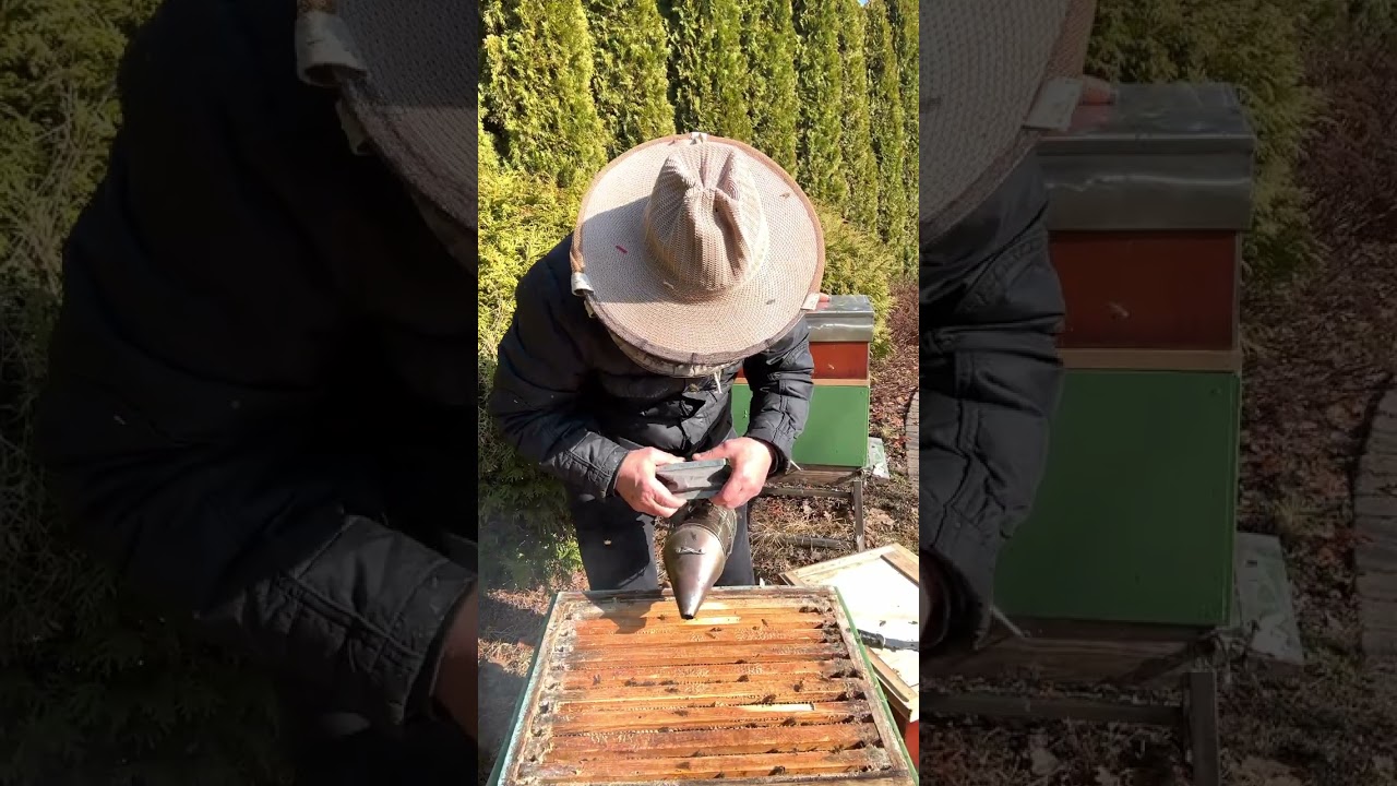 10 марта 2026 г.ընտանիքի ստուգոմ և բաժանարարի տեղադրում ընտանիքի ու մագազինի միջև 