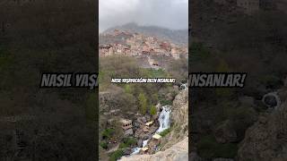Nasıl Yaşayacağını Bilen Halk Neler Düşünüyorsunuz?