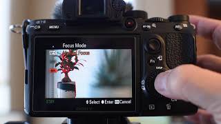 Sony A73 AF Toggle vs AF Hold Custom Button Bug
