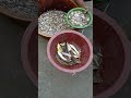 #babygril #funny #love #youtubeshorts #viralshort #aquariumfishmarket #fishbowl #fish #fishtank