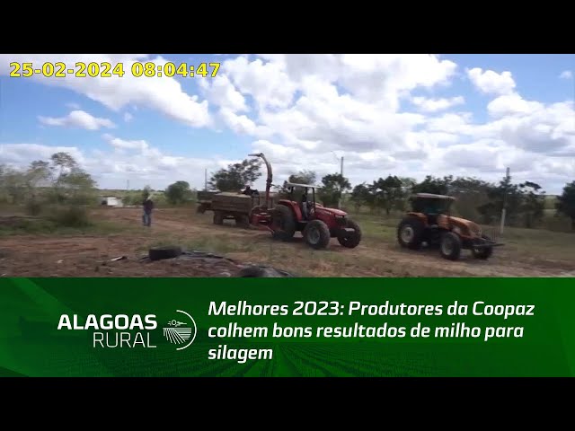 Melhores 2023: Produtores da Coopaz colhem bons resultados de milho para silagem