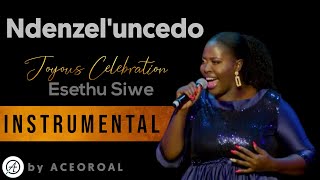 Ndenzele uncedo | Esethu Siwe | INSTRUMENTAL Covered by ACEOROAL