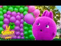 SUNNY BUNNIES - Balloon Pop | Season 6 | Cartoons for Kids