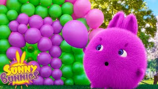 SUNNY BUNNIES - Balloon Pop | Season 6 | Cartoons for Kids by Sunny Bunnies 47,731 views 1 day ago 1 hour, 2 minutes