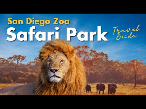 Video: Safari West Animal Park: More Than a Zoo