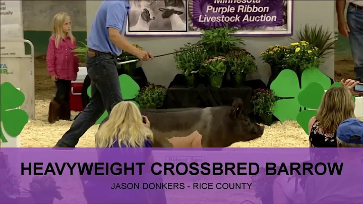 Jason Donkers | Rice County | Heavyweight Crossbre...