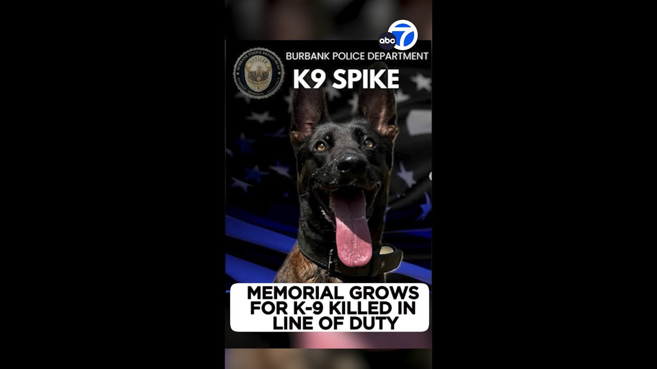 Memorial grows for Burbank police dog shot, killed in line of duty ...
