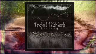 Project Pitchfork -  Akkretion