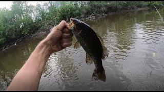 A Weekend of Multispecies Fishing on the Des Plaines River (Pike, Smallmouth, Rock Bass and More!)