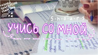 study with me #4 / расслабленный учебный день на карантине
