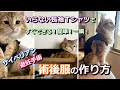 猫の術後服の作り方【ちゃこＴＵＢＥ】簡単即席術後服【避妊手術】エリザベスウェア【ハンドメイド】手作り how to make the Recovery Suit for Cats