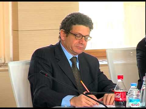 შეხვედრა ისრაელის ქნესეთის თავმჯდომარის მოადგილესთან