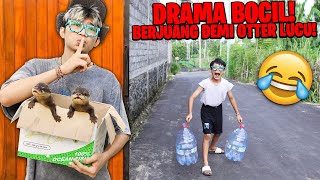 DRAMA BOCIL PENGEN BELI OTTER BERANG-BERANG SUPER LUCU DAN GEMES!!! DIA NGAMBEK LANGSUNG DIGIGIT!!!