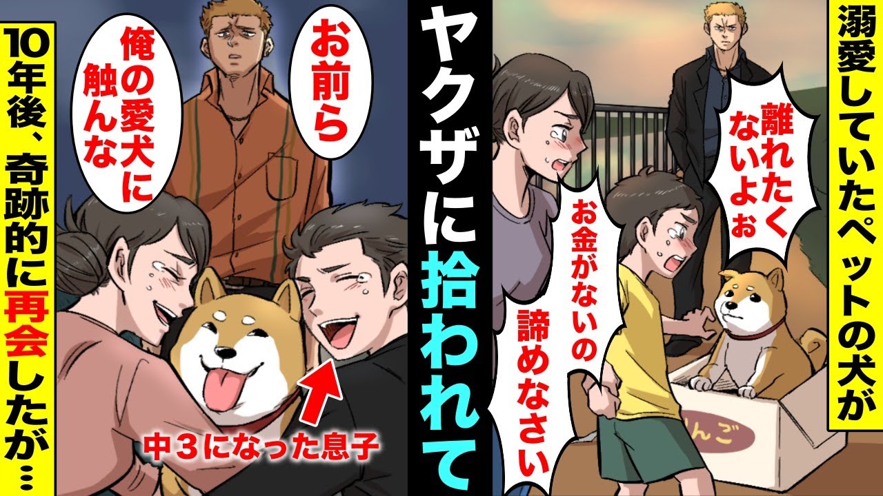 泣ける 貧乏でdqn旦那に 子供か犬どちらかを捨てろ と迫られ溺愛していたペットの犬を諦めて河原に置いてきたらヤクザに拾われて育てられていた 10年後 同じ河原で奇跡的に再会したが Youtube