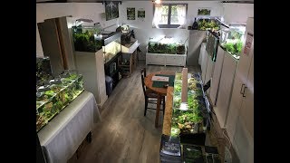 Aquascaping Visite Du Showroom Daquarilis - 20 Aquariums À Découvrir