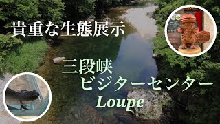 【三段峡ビジターセンターLoupe】貴重な生態展示が見られる！？