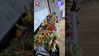 Carly Burd's Garden of Giving | TALRadio English Information