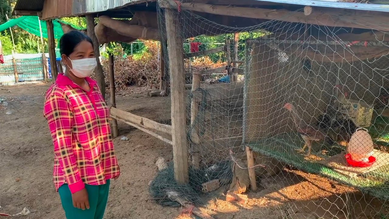 CFI Chicken Raising Project - YouTube