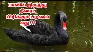 பாலில் இருந்து நீரைப் பிரிக்கும் பறவை ? எது