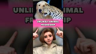 UNLIKELY ANIMAL FRIENDSHIP 😻 #animals