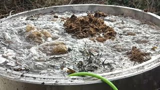 Easy Recipe For Making LOTS Of Compost Tea!