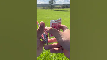 Cardistry Farm Cardistry Cardsynergy Cardgame Magician Magiciannearme Cardtrick Cards Tricks 