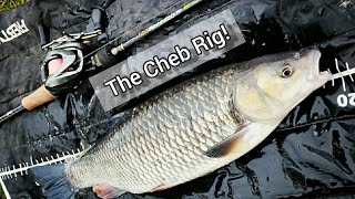 The Cheb Rig - BFS fishing for Big Chub and Perch