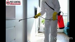 Pest Control Fyshwick | Pest Control in Fyshwick | Fyshwick Pest Control
