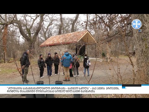 \"კლიმატის საგანმანათლებლო პროგრამა – სატყეო სკოლა\" - ასე ჰქვია პროექტს