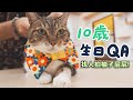 【柚子10歲生日QA！找人拍柚子屁屁！】志銘與狸貓