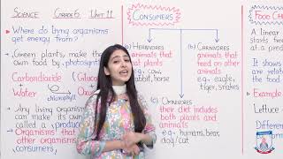 Class 6 - Science - Chapter 11 - Lecture 53 Producers/Consumers - Allied Schools