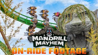 Mandrill Mayhem POV on-ride @ World of Jumanji | Chessington World of Adventures Resort