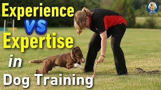 Redefining Expertise In Dog Training And What Counts More Than Years Of Experience #247 #podcast