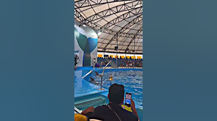 Jab Dolphin trick Me Hui Gadbad 🎥 umer2m